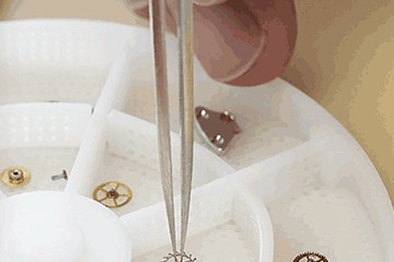 哈尔滨卡地亚手表售后点